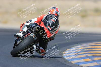 media/May-13-2023-SoCal Trackdays (Sat) [[8a473a8fd1]]/Turn 11 Backside (945am)/